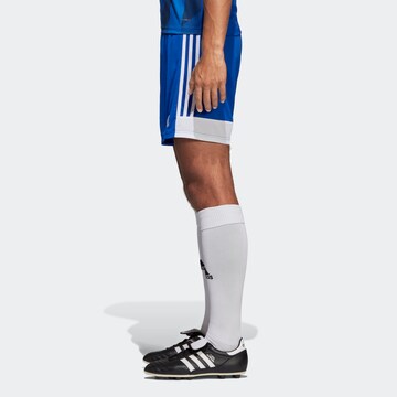 ADIDAS PERFORMANCE Regular Shorts 'Tastigo 19' in Blau