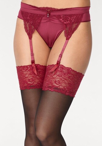 LASCANA Hold up stockings in Red