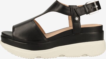 GEOX Sandalen met riem in Zwart