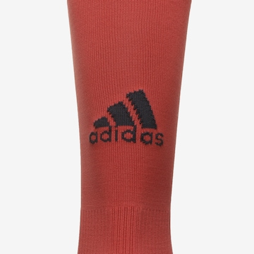 ADIDAS SPORTSWEAR Soccer Socks 'EM 2020 DFB' in Grey