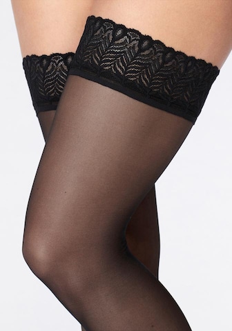 LASCANA Hold-up stockings in Black