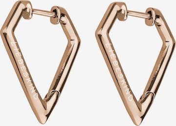 Liebeskind Berlin Earrings 'LJ-0048-E-22' in Gold: front