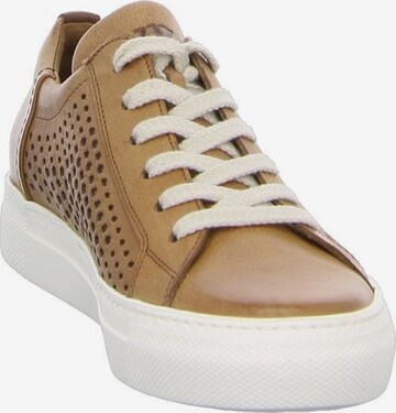 Paul Green Sneakers in Brown