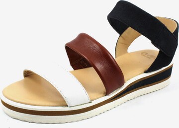 ARA Strap Sandals in Mixed colors: front