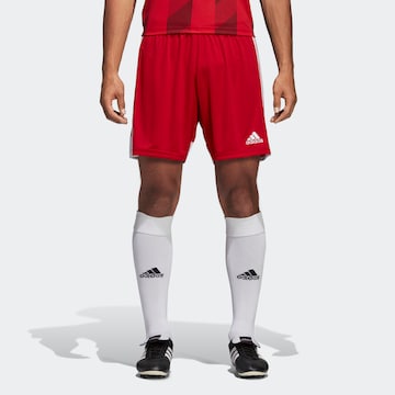 ADIDAS SPORTSWEAR Regular Shorts in Rot: predná strana