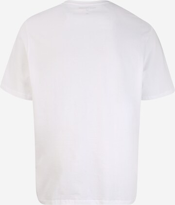 Coupe regular T-Shirt TOM TAILOR Men + en blanc