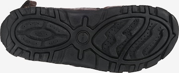 GEOX Hiking Sandals 'S. Strada' in Brown