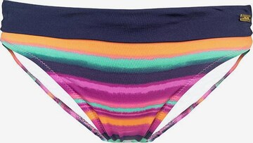 LASCANA Bikini Bottoms in Mixed colors: front