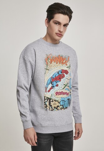 Mister Tee Sweatshirt 'Spiderman Ftanng' in Grey: front