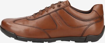 GEOX Sneakers 'Edgeware' in Brown