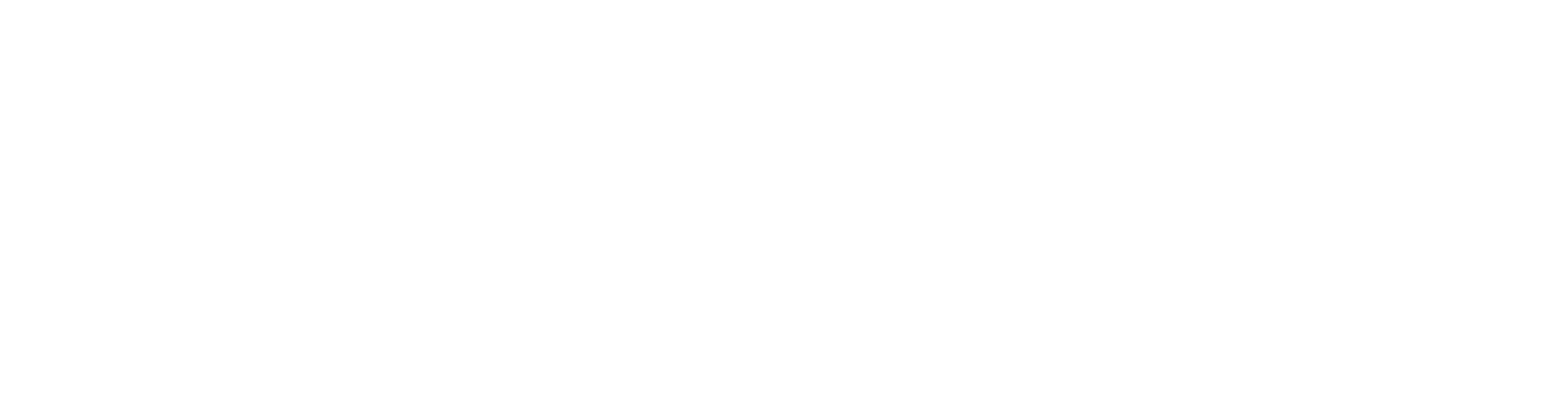 VENICE BEACH Logo