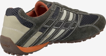 Baskets basses 'UOMO SNAKE' GEOX en gris