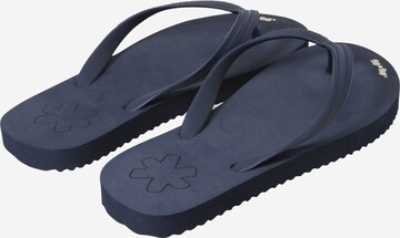 FLIP*FLOP T-Bar Sandals in Blue: back