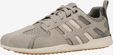 GEOX Sneaker in Grau: predná strana