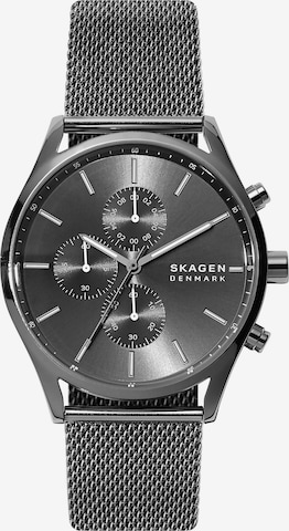 SKAGEN Uhr 'Holst' in Grau: predná strana