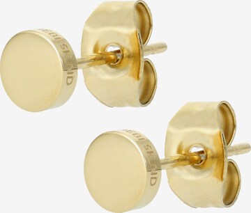 Liebeskind Berlin Earrings in Gold: front