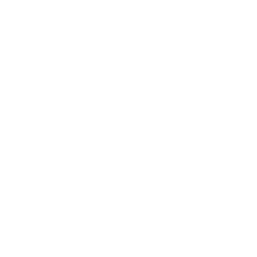 VANGUARD Logo