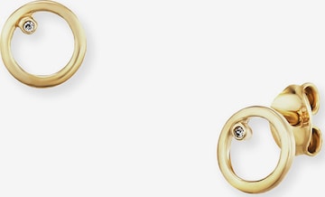 caï Earrings in Gold: front