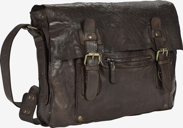 Harold's Messenger in Brown