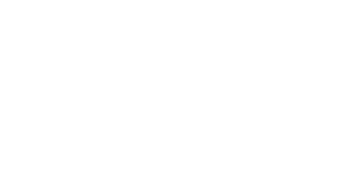 Micro Logo