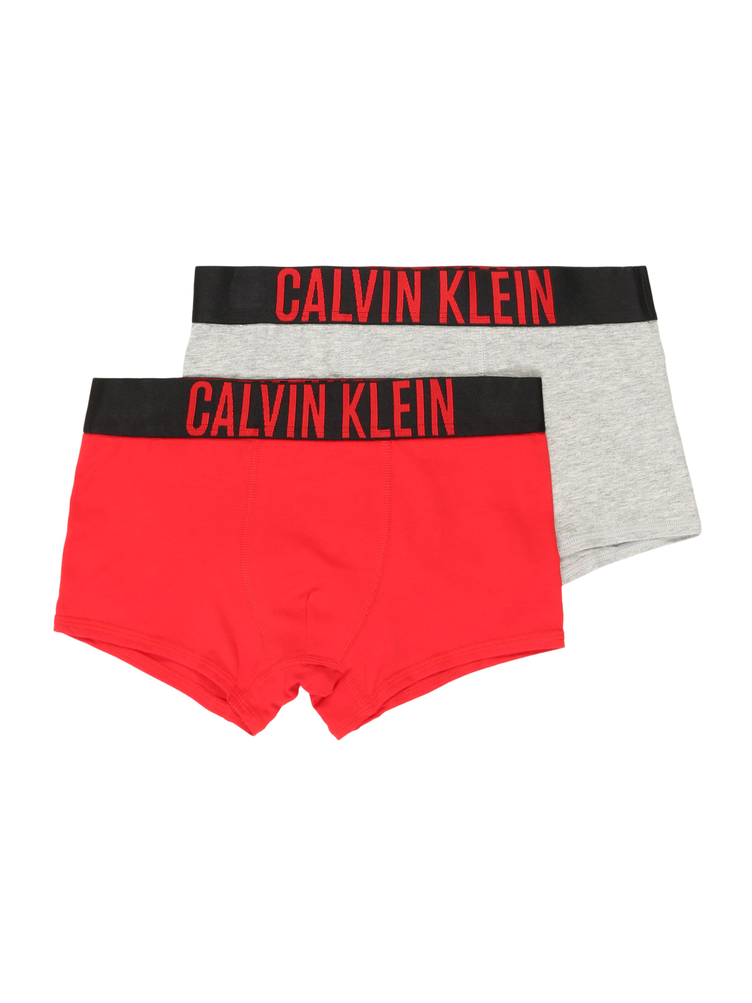 Calvin Klein Underwear - Onderbroek in de kleur Lichtgrijs