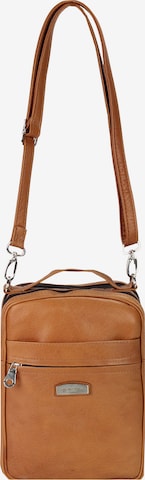 Harold's Crossbody Bag in Brown: front