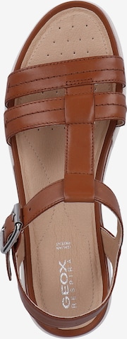 GEOX Sandals in Brown