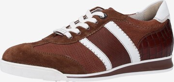 LLOYD Sneakers in Brown: front