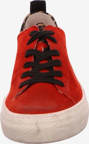Paul Green Sneakers in Red