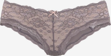 LASCANA Panty in Lila: front