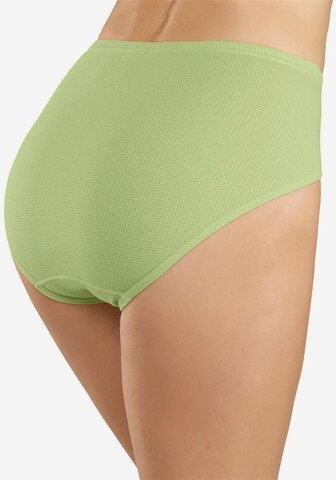 PETITE FLEUR Panty in Mischfarben