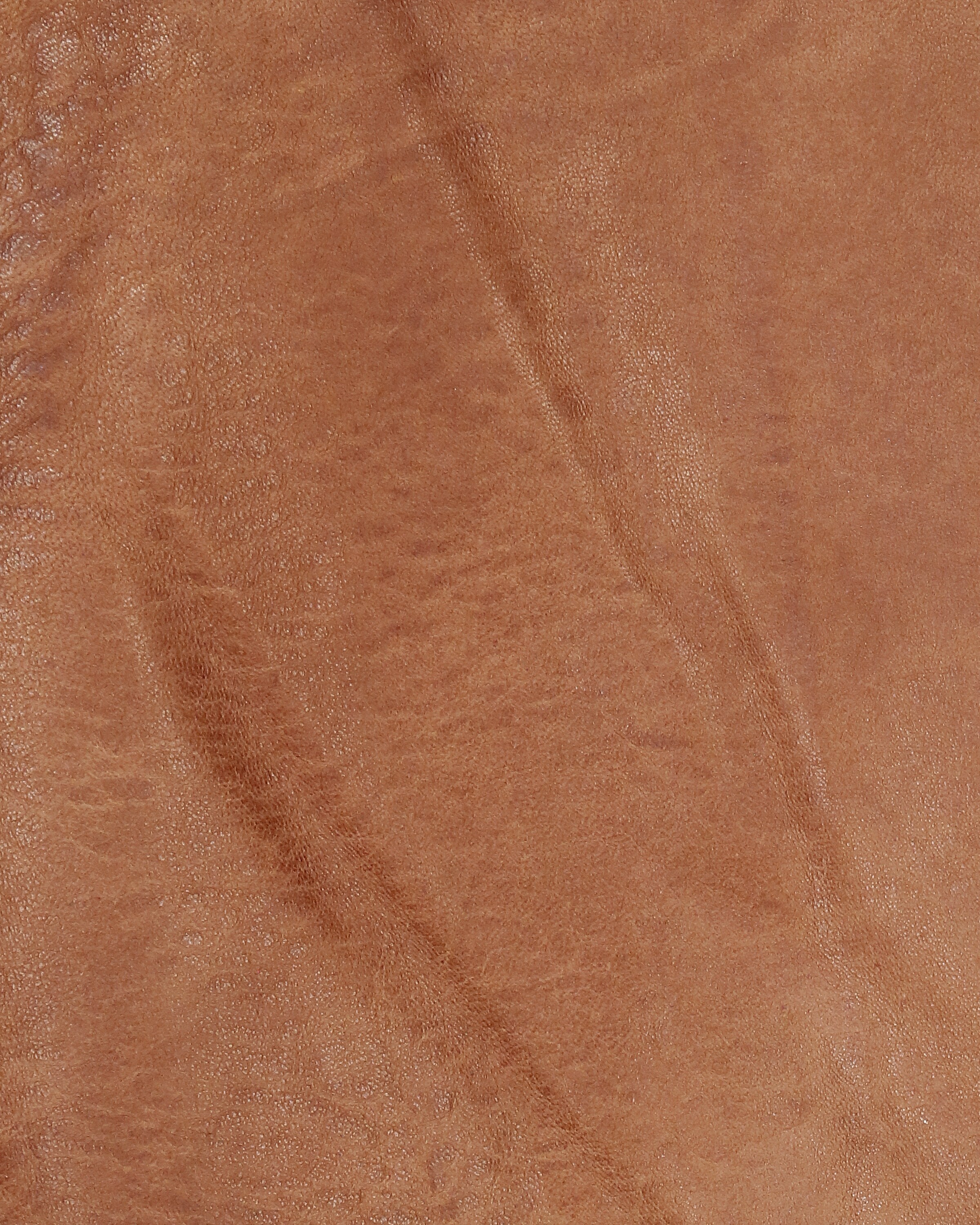 MUSTANG Between-season jacket 'Wellington' in Brown
