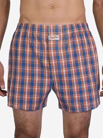 Sugar Pine Boxer shorts 'Classic Check' in Blue: front