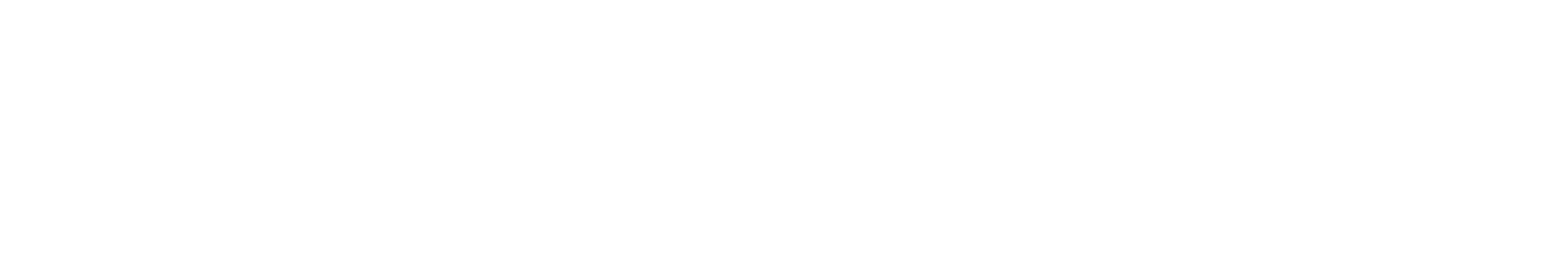 LAURA VITA Logo