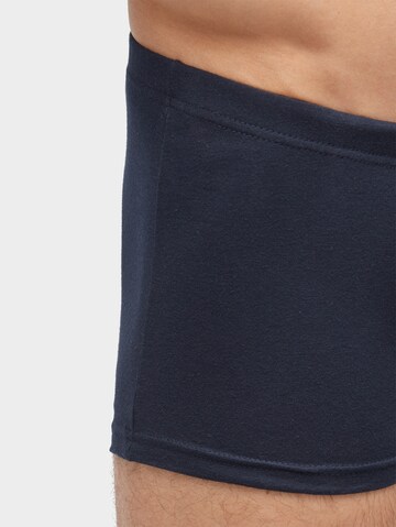 TOM TAILOR Boxershorts in Mischfarben