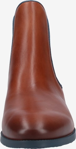 PIKOLINOS Chelsea Boots 'Royal' in Brown