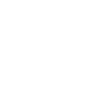 Kari Traa Logo