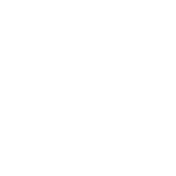 ONLY PLAY Logo