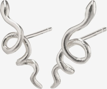 Boucles d'oreilles Pilgrim en argent : devant