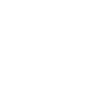 Touche Prive Logo