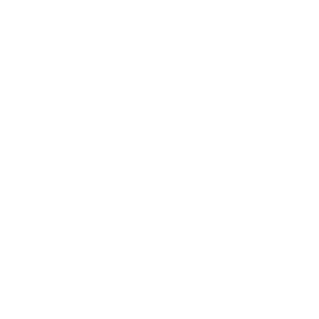 Falcotto Logo