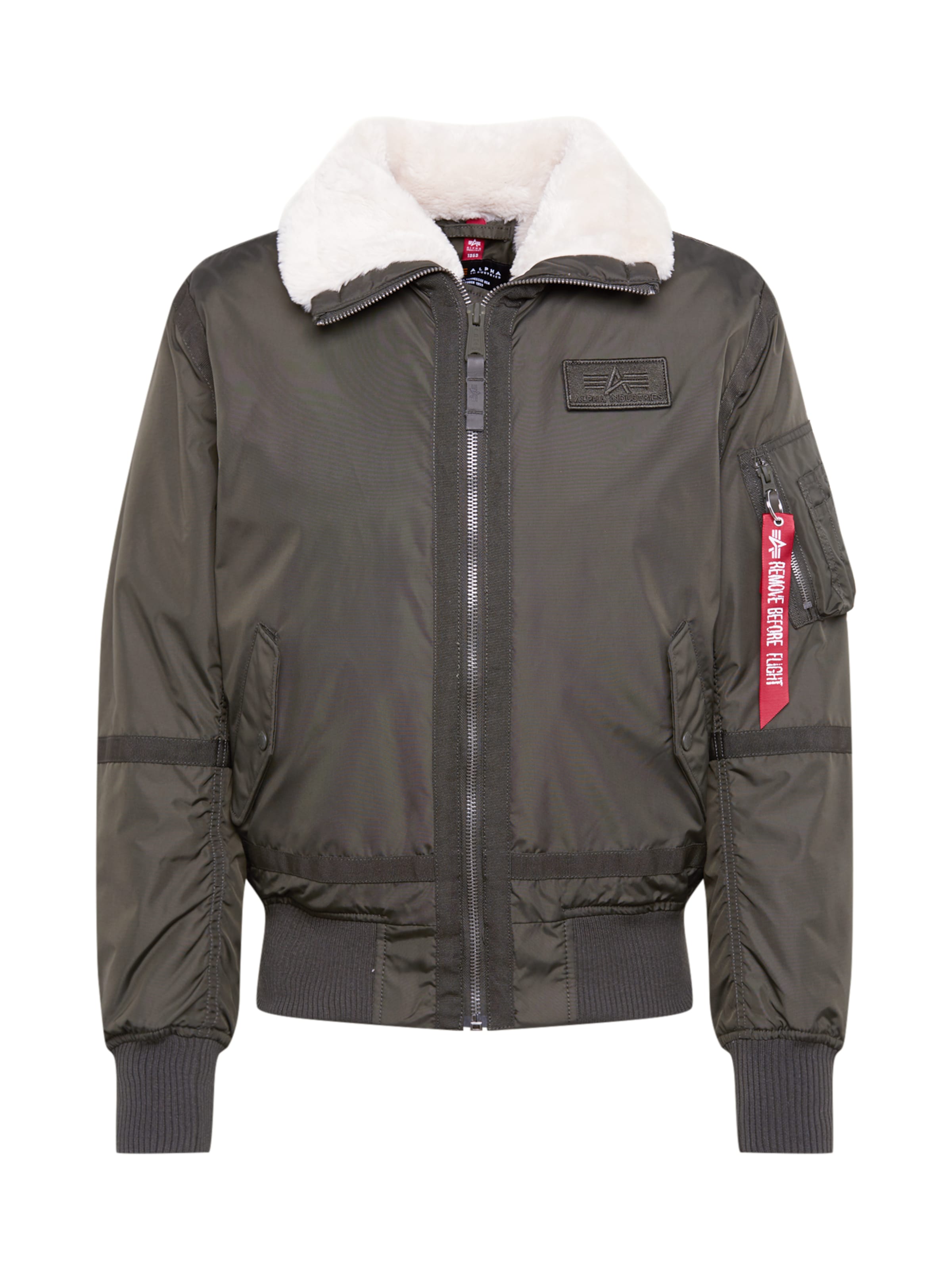 Giacca di mezza stagione 'B15-3 TT' di ALPHA INDUSTRIES in verde: frontale