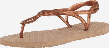 Séparateur d'orteils 'Luna' HAVAIANAS en bronze : devant