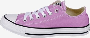 CONVERSE Sneaker 'Chuck Taylor All Star' in Lila