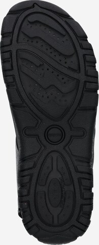 GEOX Hiking Sandals 'Strada' in Grey