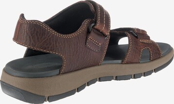 Sandales CLARKS en marron