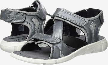 ECCO Sandalen in Grau