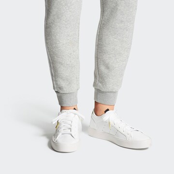 Sneaker bassa 'Sleek' di ADIDAS ORIGINALS in bianco: frontale