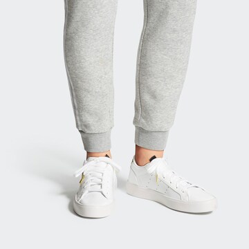 ADIDAS ORIGINALS Sneaker 'Sleek' in Weiß: Vorderseite