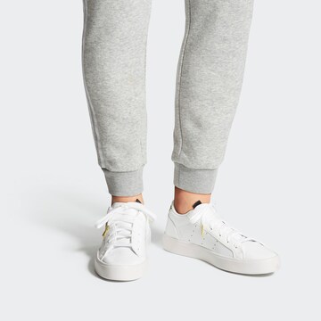 Baskets basses 'Sleek' ADIDAS ORIGINALS en blanc : devant